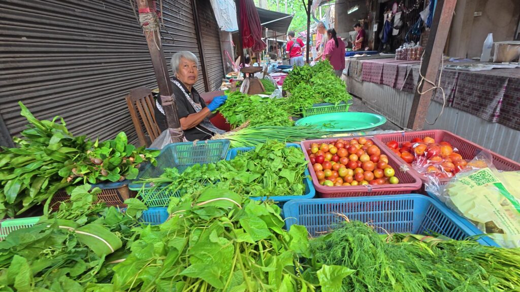 青菜とトマトの野菜売り場
