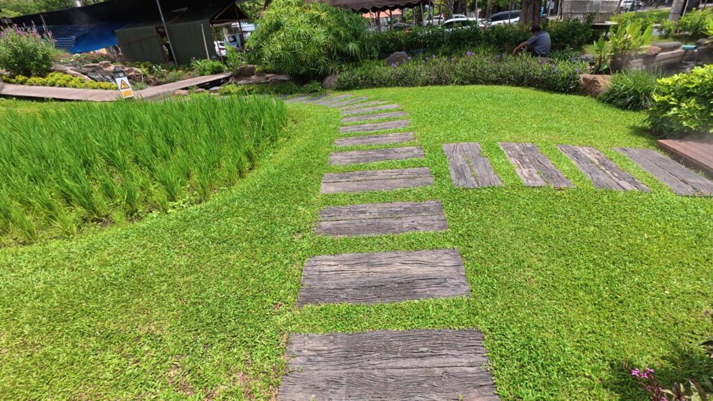 芝生の飛び石の園路
