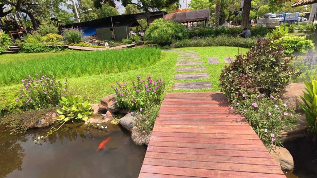 池を泳ぐ鯉と飛び石の小径