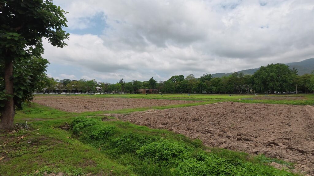 農地・実験圃場の眺め