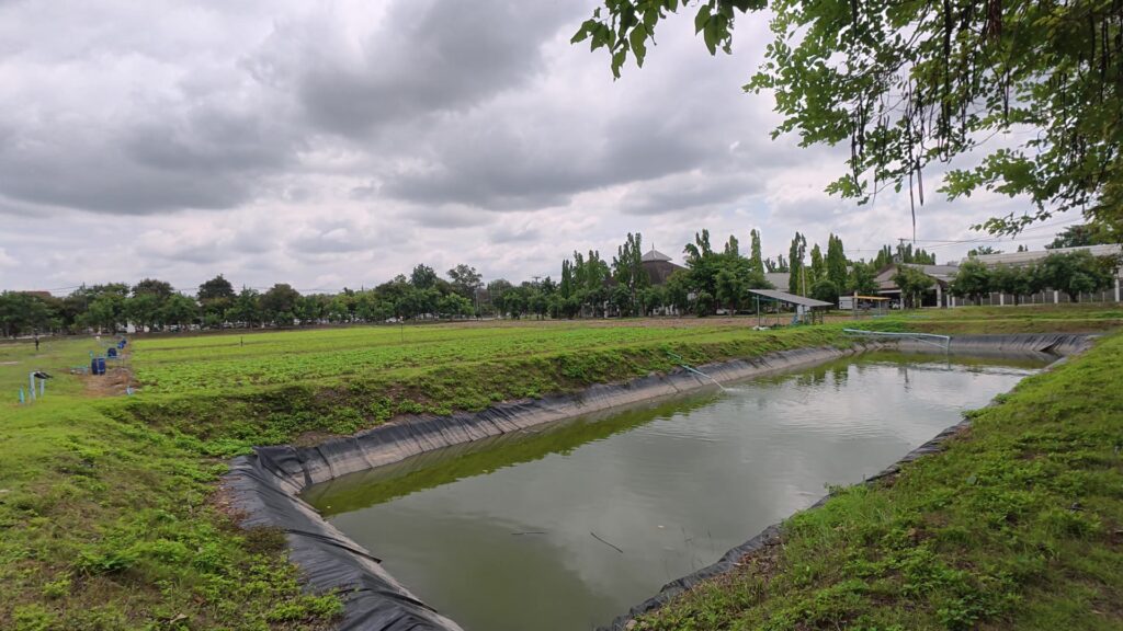 貯水池と農地の風景